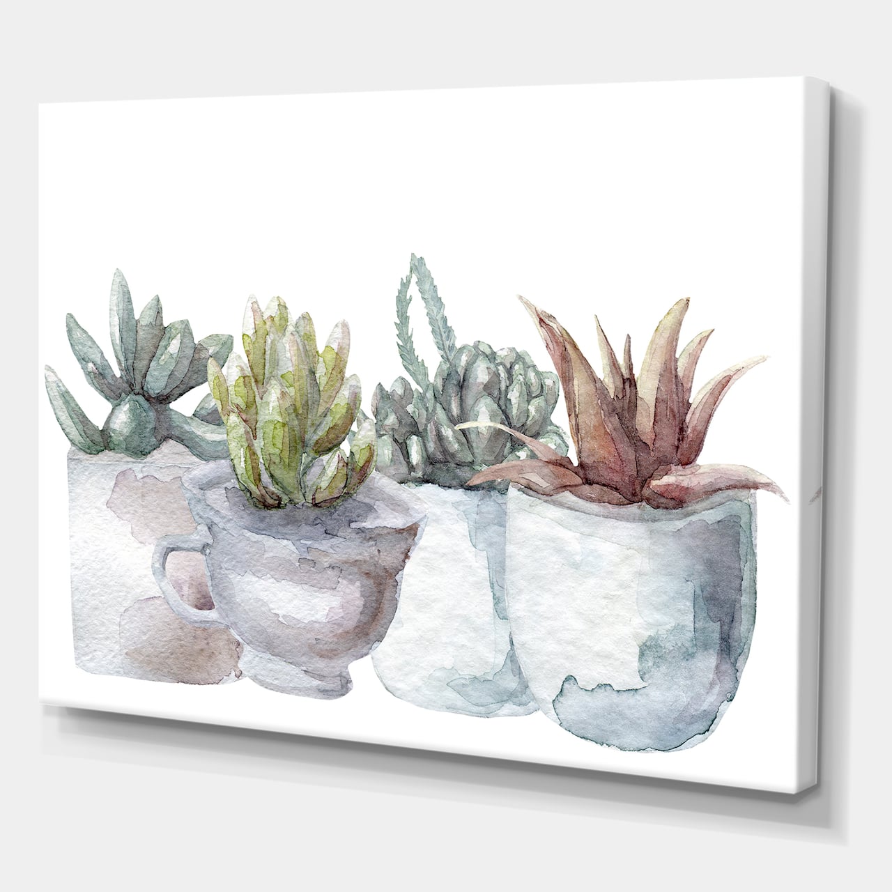 Designart - Cactus and Succulent House Plants IV - Farmhouse Canvas Wall Art Print